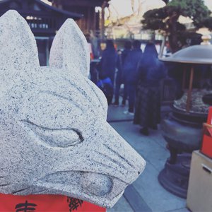 小志第三部胡秀英是第几集
